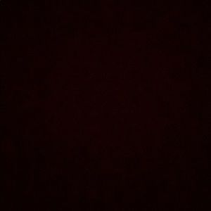 Meet your Posher, Eli